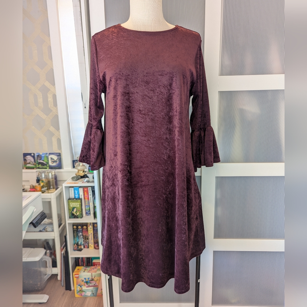 Chic Long Sleeve Velvet Dress